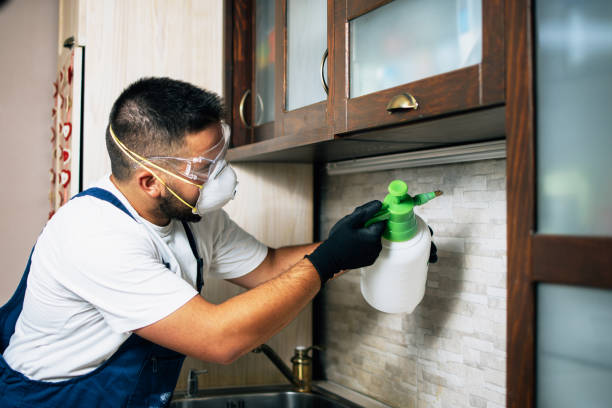 Flea Control Services in Churchville, NY