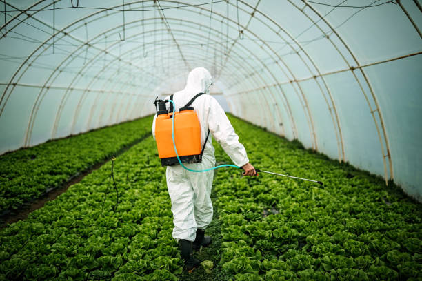 Best Mosquito Control Services  in Churchville, NY