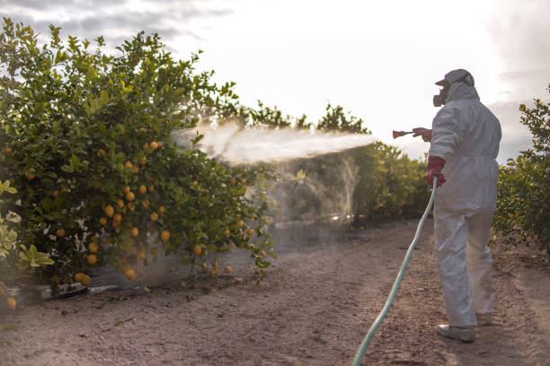 Best Local Pest Control Services  in Churchville, NY