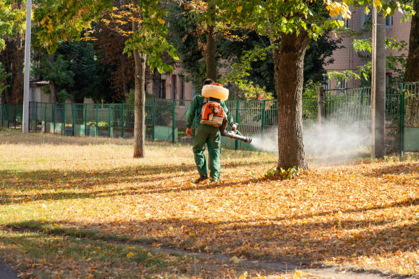 Best Pest Control Near Me in Churchville, NY