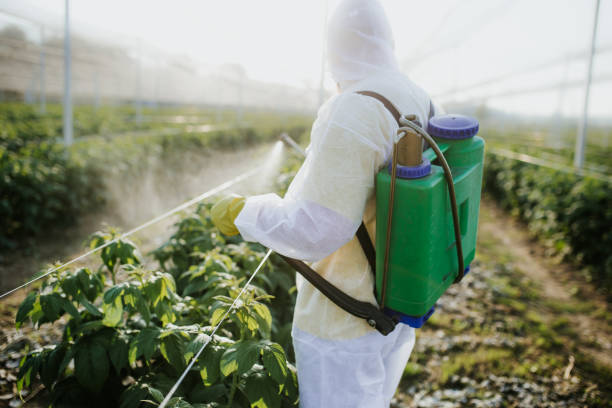 Best Exterminator Services  in Churchville, NY